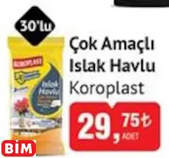 KOROPLAST ÇOK AMAÇLI ISLAK HAVLU